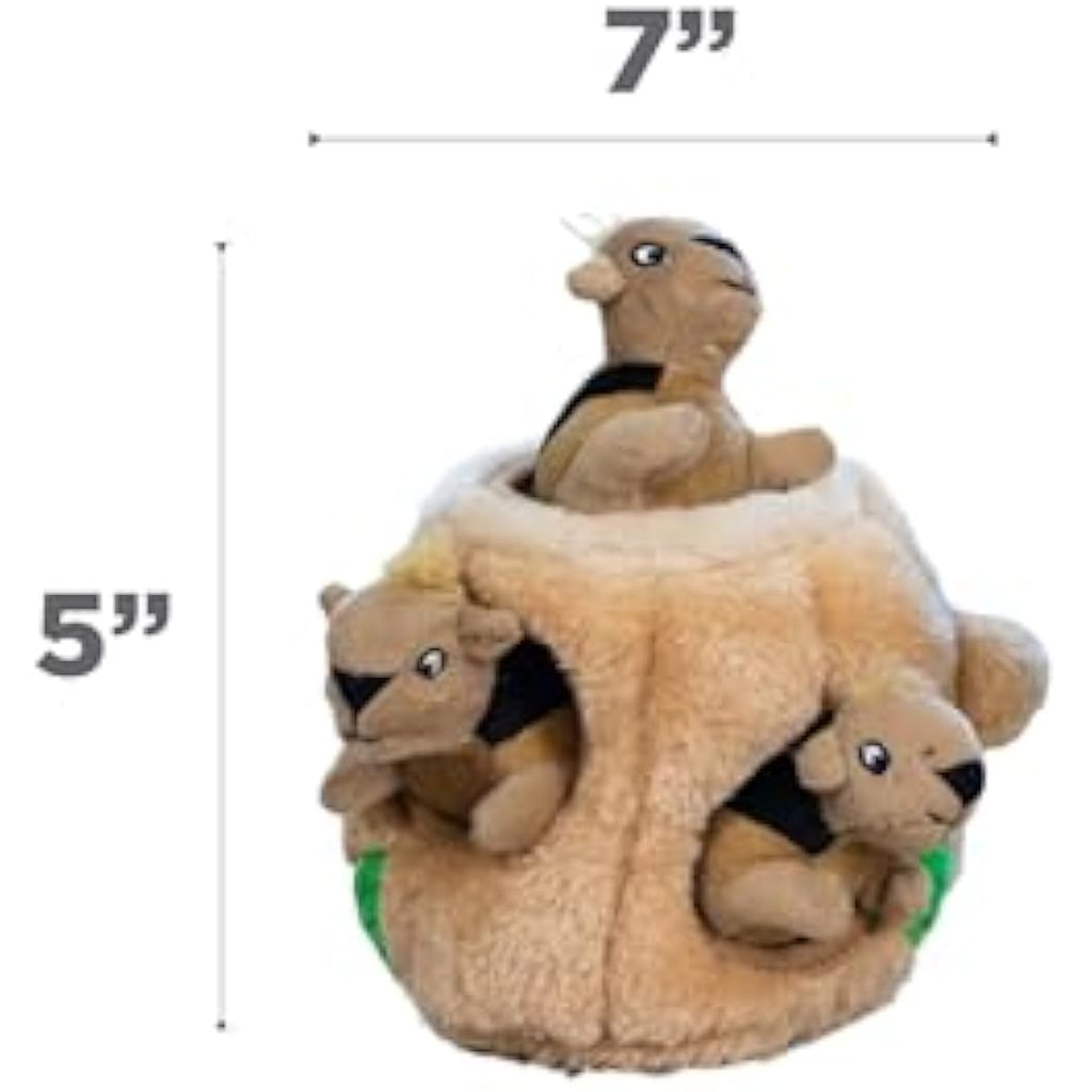 outward hound hide-a-squirrel dog toy small plush puzzle 2-in-1 interactive squeaky