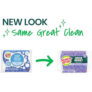 Scotch-Brite odor resist non-scratch scrub sponges 6 pack dishwasher antibacterial multipurpose kitchen cleaning
