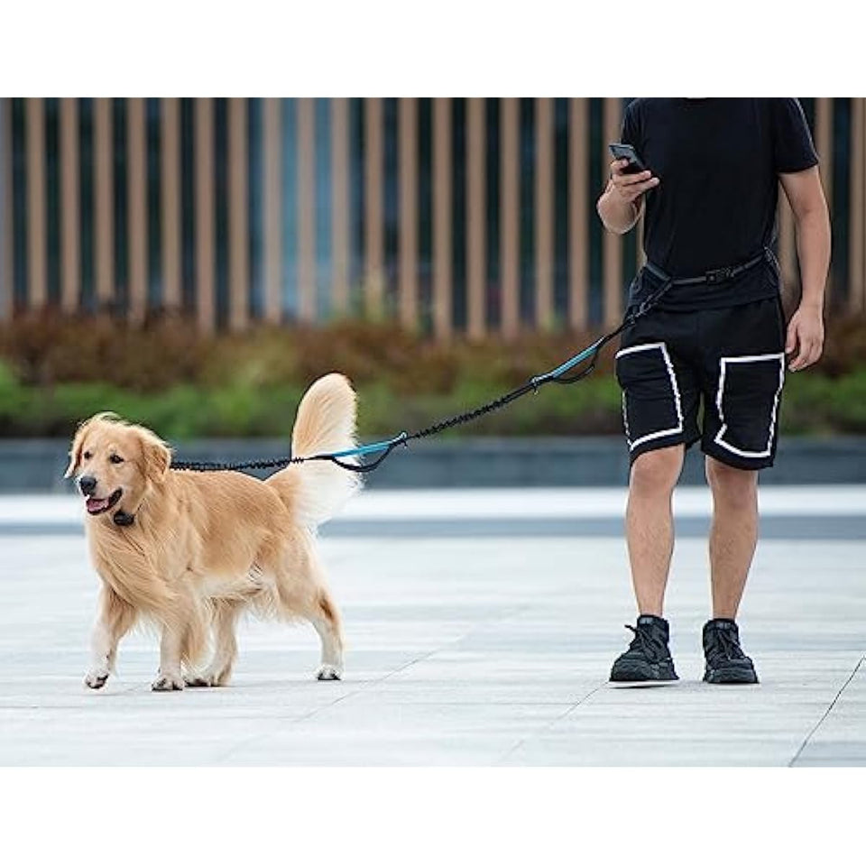 iYoShop hands-free dog leash with zipper pouch and dual padded handles for medium and large dogs (large, 25-120 lbs, black)
