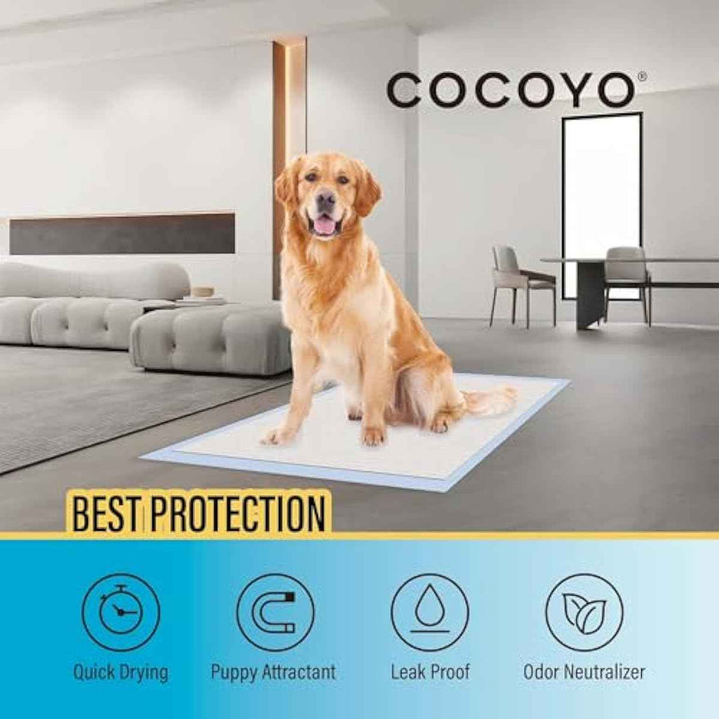 cocooyo 22x22 super absorbent dog training pads 50 count puppy potty pads white
