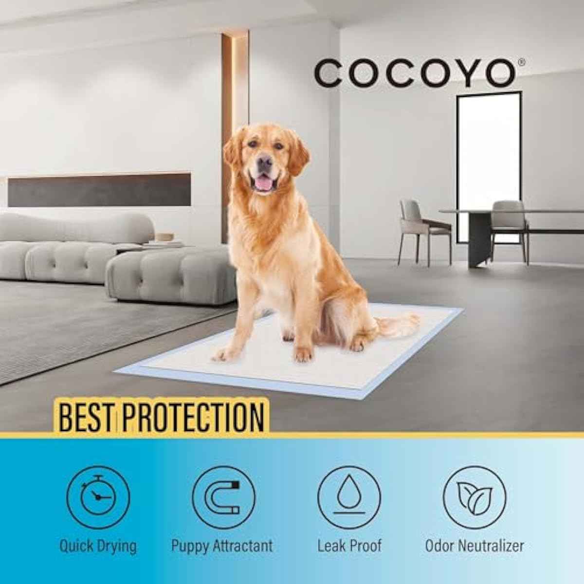 cocooyo 22x22 super absorbent dog training pads 50 count puppy potty pads white