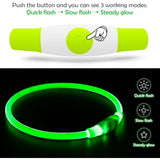 BSEEN USB Rechargeable Flash Dog Necklace Light, Green, Small Medium Large Dogs