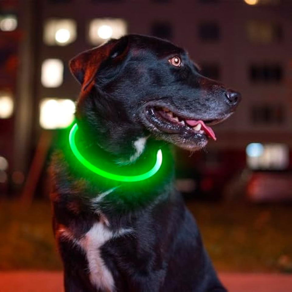 BSEEN USB Rechargeable Flash Dog Necklace Light, Green, Small Medium Large Dogs