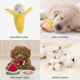 Nocciola Dog Squeaky Toys, Plush Small Dog Toys for Dogs, Stuffed with Squeakers,12 pcs Puppy Toys with a Carrying Bag for Small Medium Size