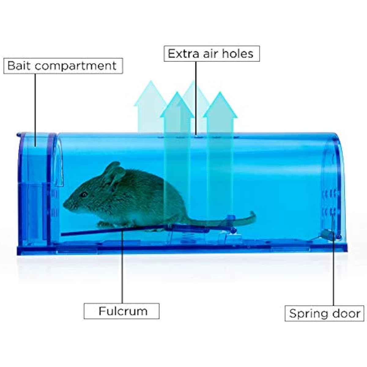 Humane Mouse Trap | Catch and Release Mouse Traps That Work | Mice Trap No Kill for mice/Rodent Pet Safe (Dog/Cat) Best Indoor/Outdoor Mousetrap Catcher Non Killer Small Capture Cage (Blue)