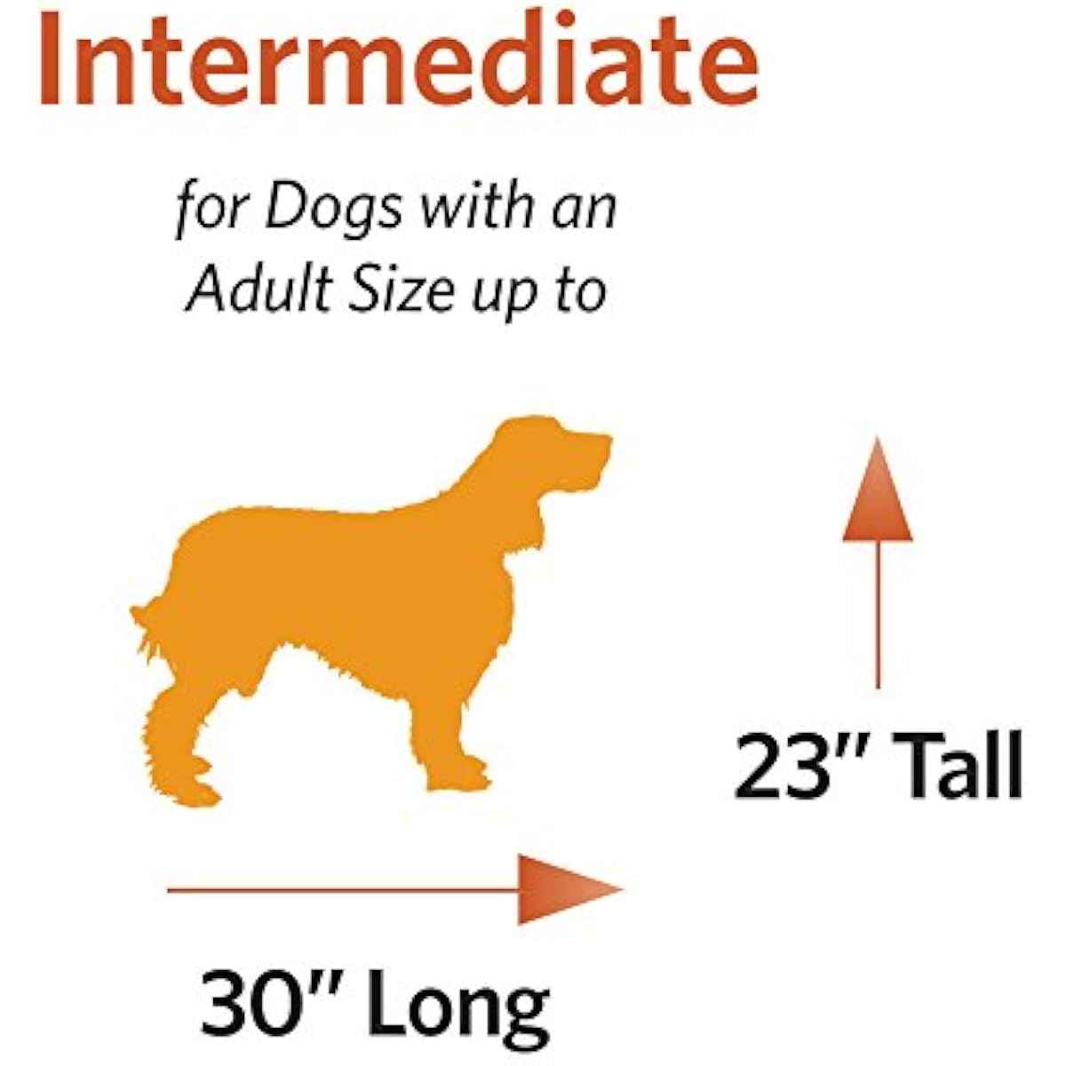 MidWest Homes for Pets 36-Inch iCrate Folding Dog Crate with Divider Panel, Leak-Proof Tray & Secure Latches – Metal Wire Kennel for Medium Large Breeds – Portable, Durable & Easy to Assemble
