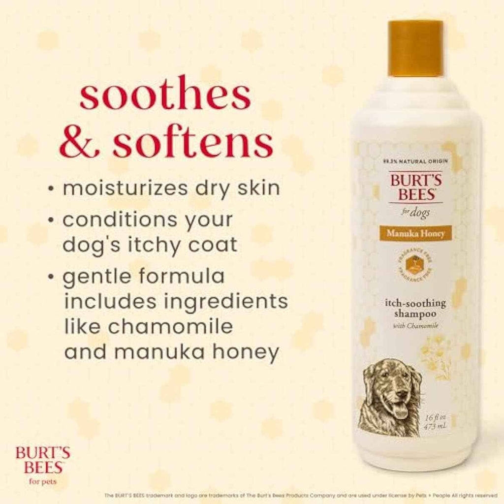 Burt's Bees for Pets Itch Relief Shampoo with Manuka Honey and Chamomile for Dogs, 16 Fl Oz