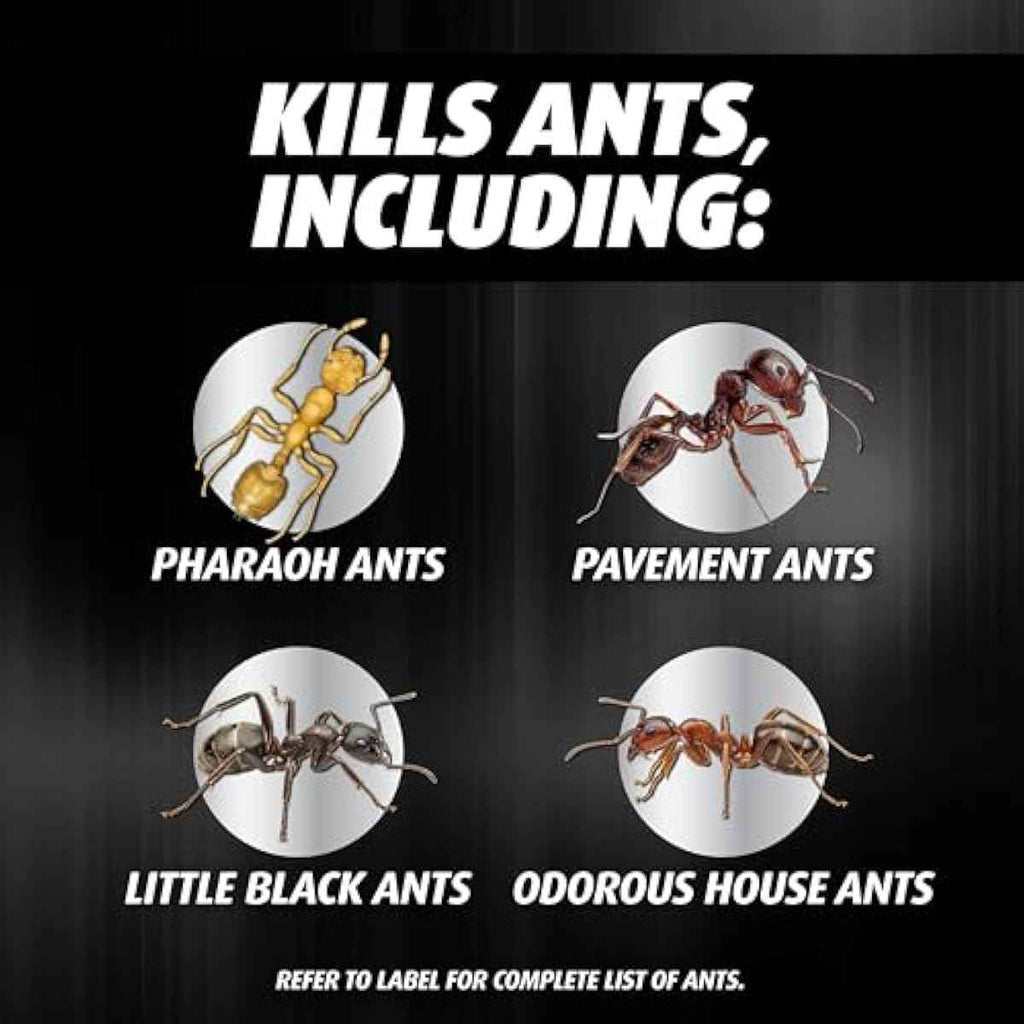 ortho orthene ant killer ant bait, 12 stations, kills queen and colony, indoors