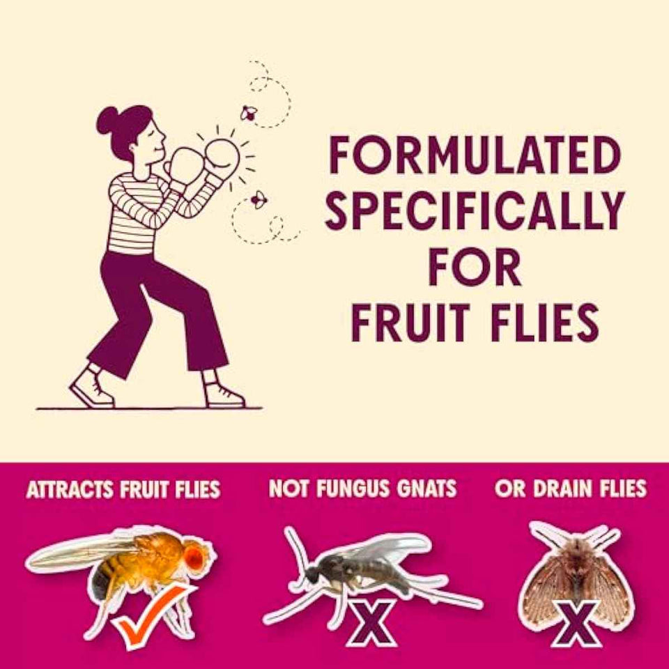 Aunt Fannie's FlyPunch Fruit Fly Trap for Indoor and Kitchen Use, Ready to Use, Made with Plant Based Ingredients, Safe Near Food, Each Bottle Lasts Up to 30 Days, Pack of 2