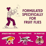 Aunt Fannie's FlyPunch Fruit Fly Trap for Indoor and Kitchen Use, Ready to Use, Made with Plant Based Ingredients, Safe Near Food, Each Bottle Lasts Up to 30 Days, Pack of 2