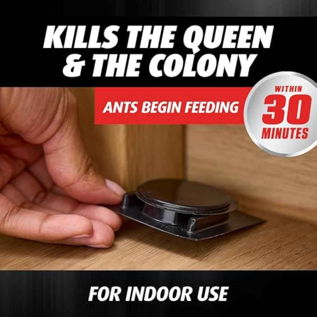 ortho orthene ant killer ant bait, 12 stations, kills queen and colony, indoors