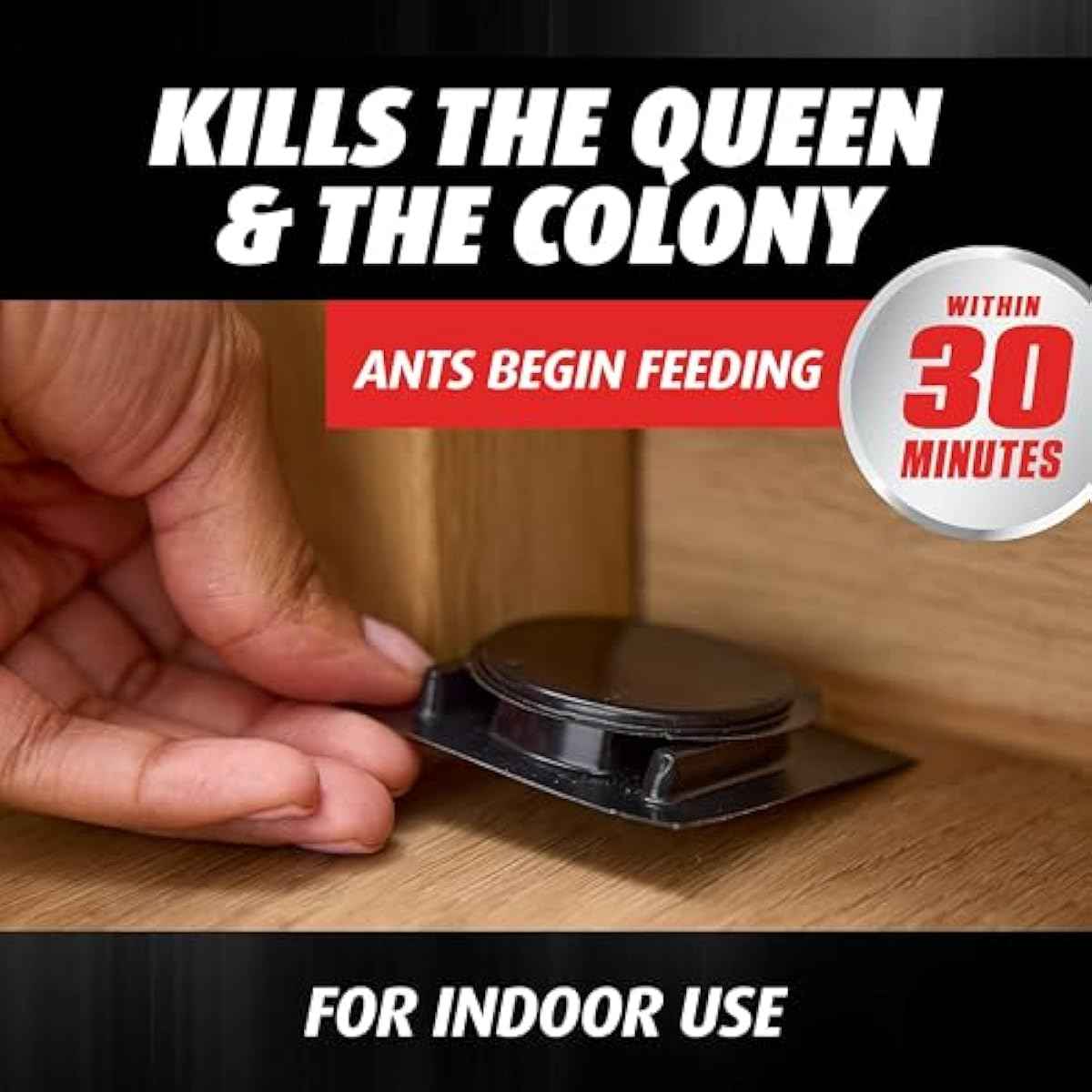 ortho orthene ant killer ant bait, 12 stations, kills queen and colony, indoors