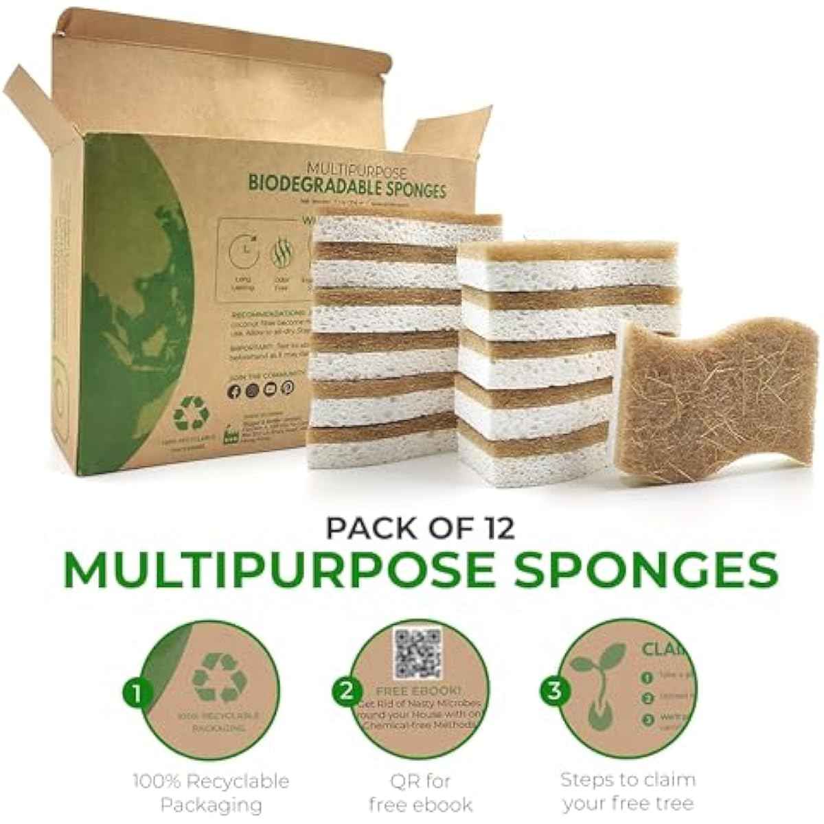 Natural Compostable Cellulose Coconut Walnut Kitchen Sponges 12 Pack Gentle Eco Friendly Daily Cleaning