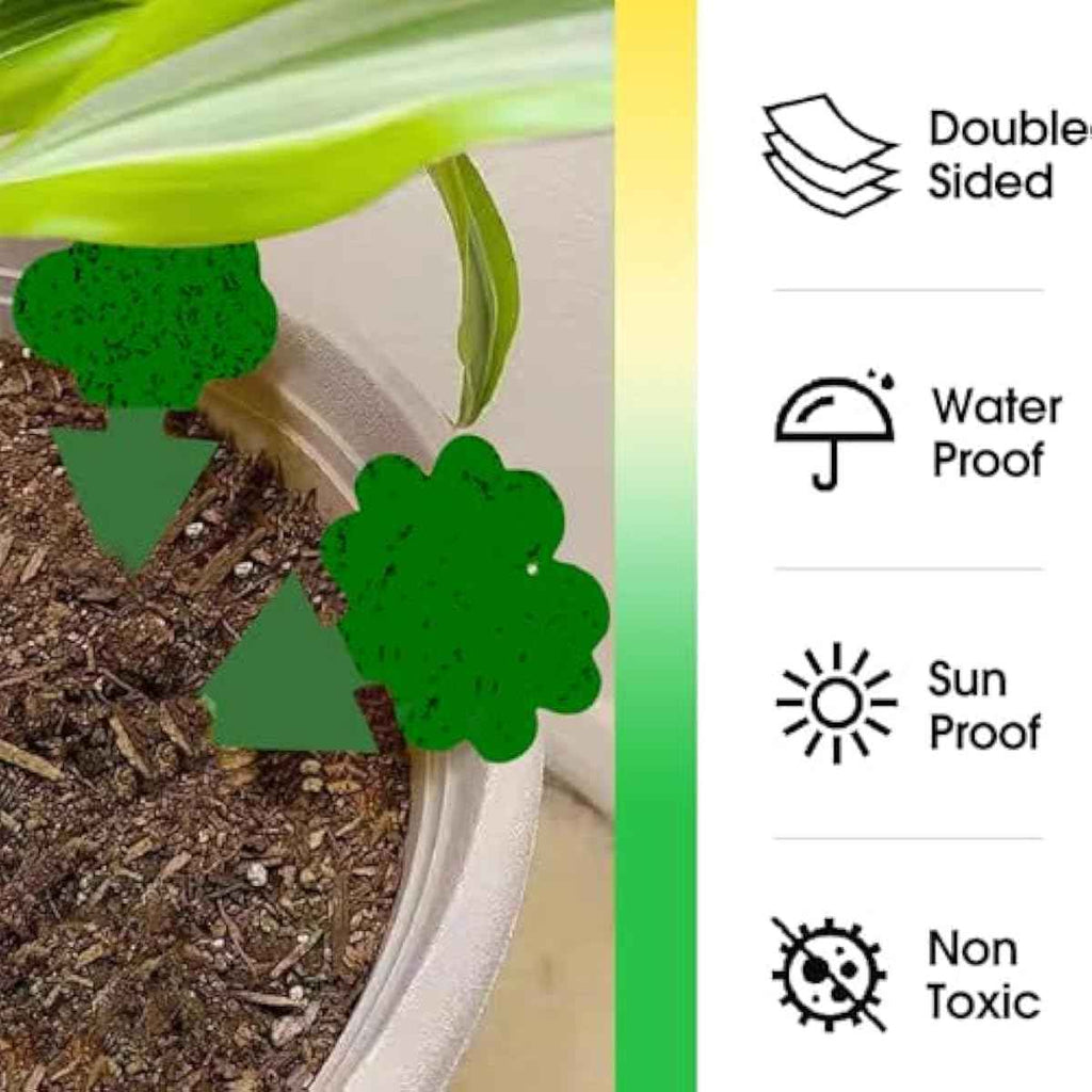 green-sticky-traps-58pk-fungus-gnats-flies-flying-bugs-plant-catcher-non-toxic-odorless-safe
