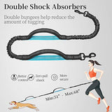 iYoShop hands-free dog leash with zipper pouch and dual padded handles for medium and large dogs (large, 25-120 lbs, black)