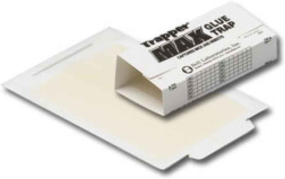 Trapper Max Non-Toxic Glue Traps 12 Glue Boards for Mice Bugs Insects Bed Bugs Spiders and Cockroaches