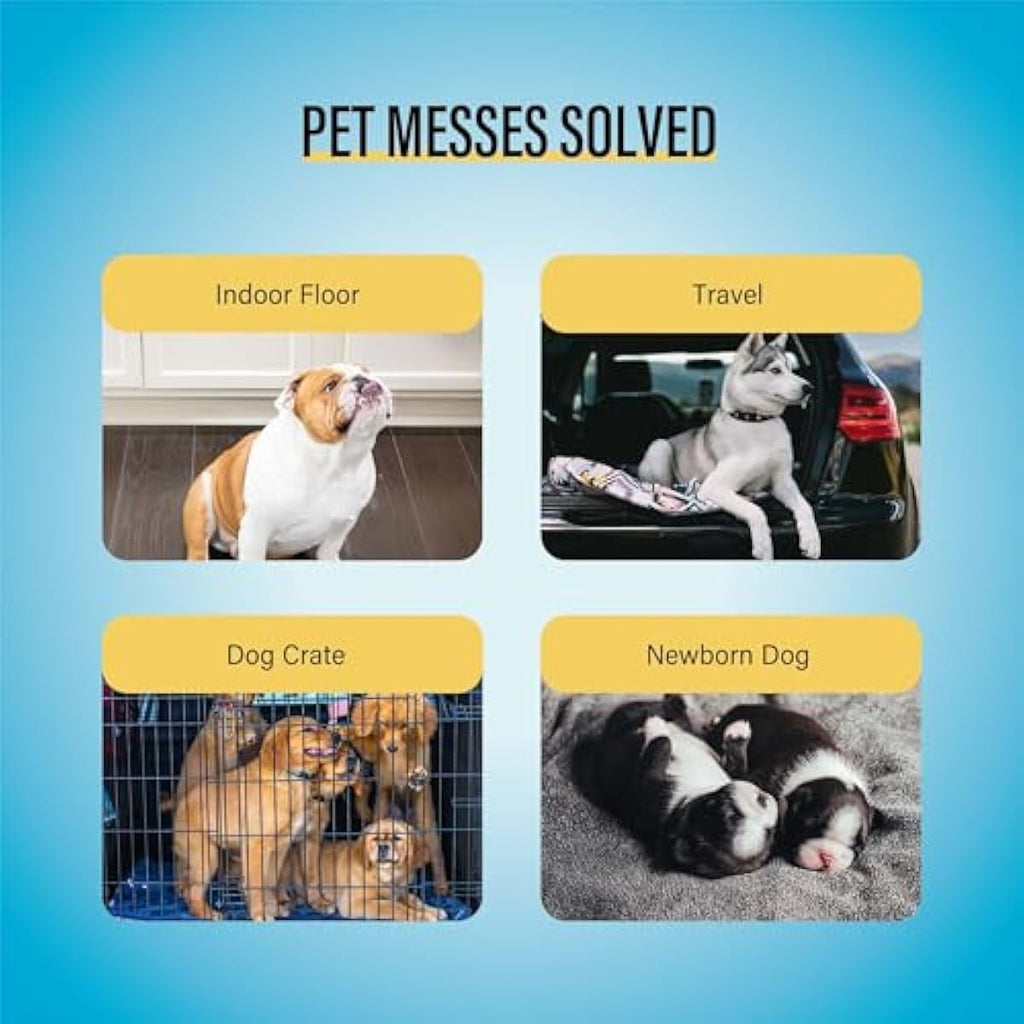 cocooyo 22x22 super absorbent dog training pads 50 count puppy potty pads white