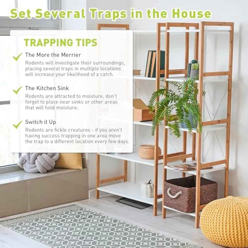 Glue Mouse Traps Indoor for Home, Rat Trap-12 Pack, Large Heavy Duty Glue Traps for Safe Home Pest Control. Pre-Scented, Non-Toxic Sticky Boards for Mice, Rats & More. Easy To Use