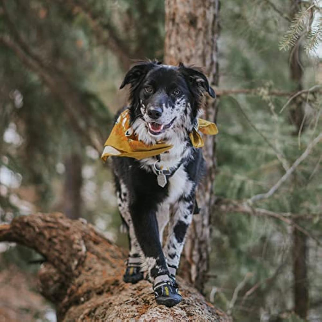 Qumy dog shoes, large dog boots, medium dog paw protectors for winter, snow, hot pavement, rainy weather, outdoor walking, indoor hardfloors