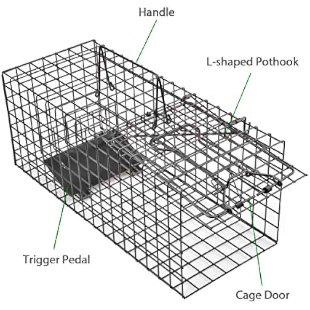 Live Squirrel Trap Heavy Duty Humane Cage Trap with No Assembly Required for Squirrels and Small Rabbits