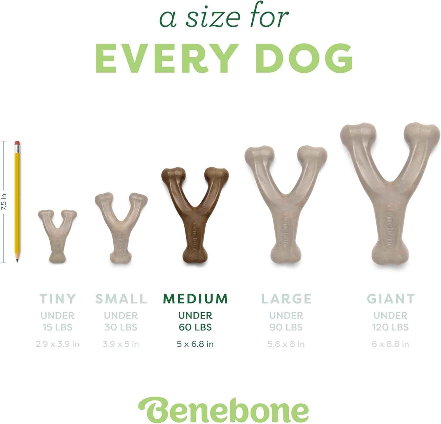 benebone wishbone durable dog chew toy for aggressive chewers real bacon medium made usa