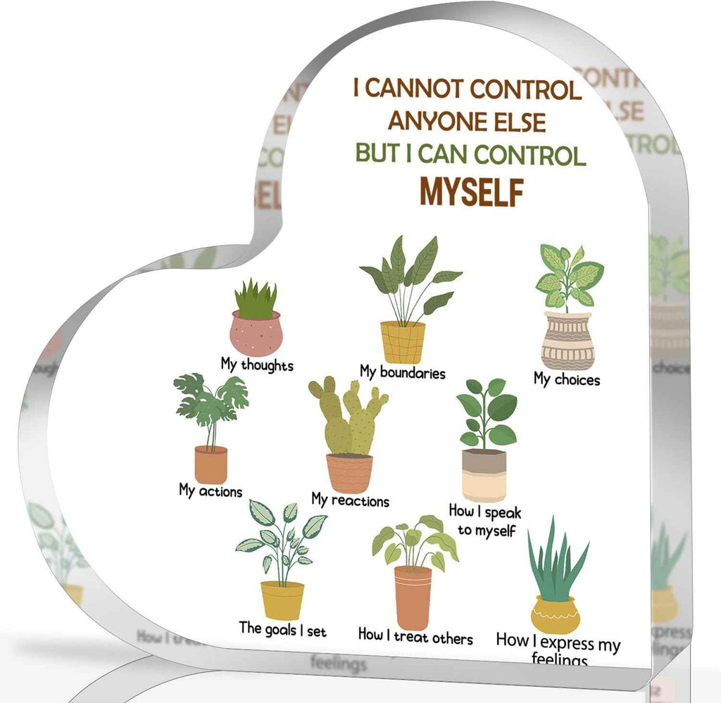 Things I Can Control Mental Health Decor, Acrylic Heart Gifts Mindfulness Decor for Therapy Office , School Counselor Sign Therapist Office Art Decorations for Therapist Office Living Room Bedroom
