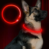BSEEN USB Rechargeable Flash Dog Necklace Light, Green, Small Medium Large Dogs