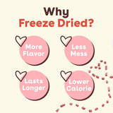 PLpford Freeze Dried Training Treats for Dogs & PLppies, 475+ Three Ingredient Bites (Beef Liver, 4 oz)