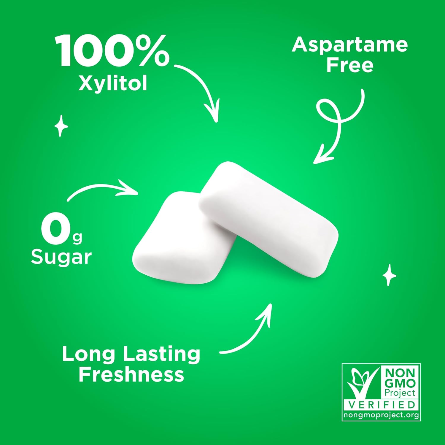 PLR Gum | Aspartame Free Chewing Gum | 100% Xylitol | Natural Spearmint Flavored Gum, 55 Pieces (Pack of 1)