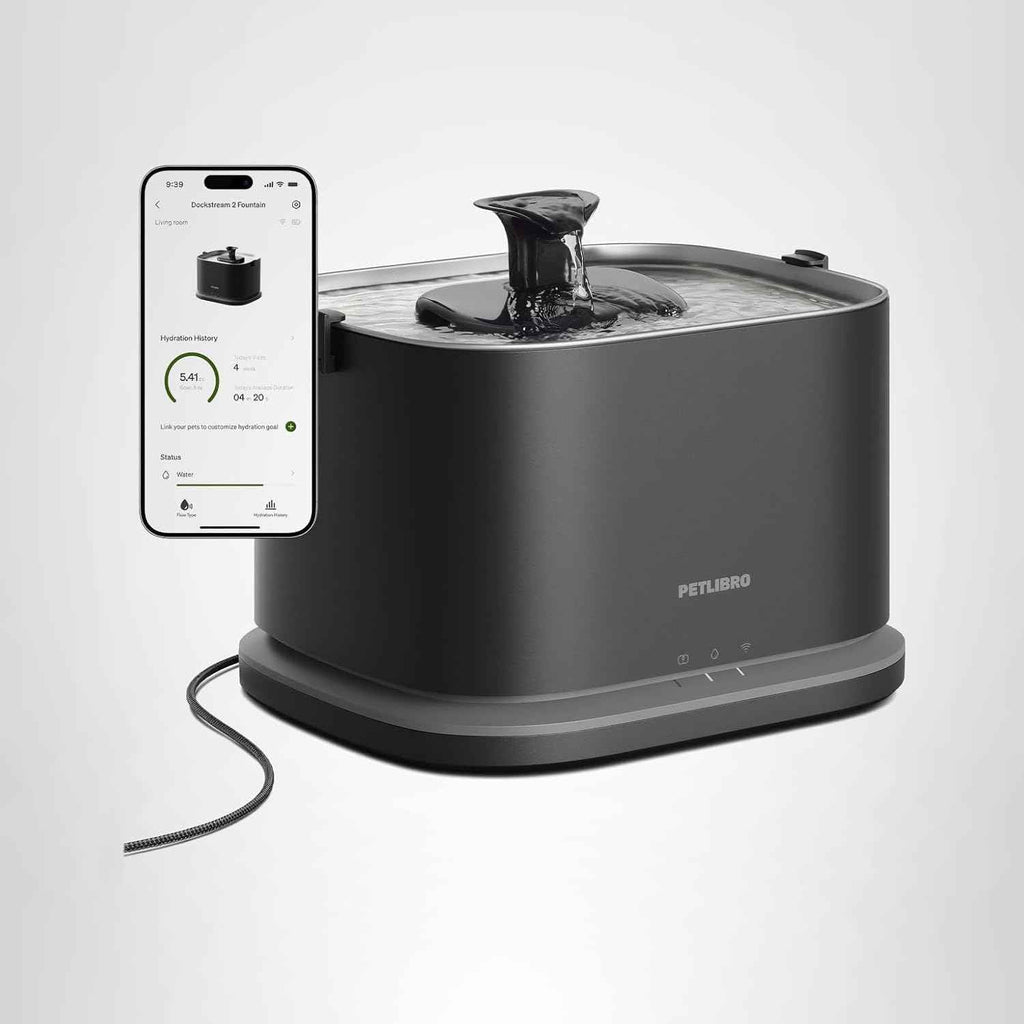 petlibro stainless steel cat water fountain with 5g wifi app monitoring for indoor use