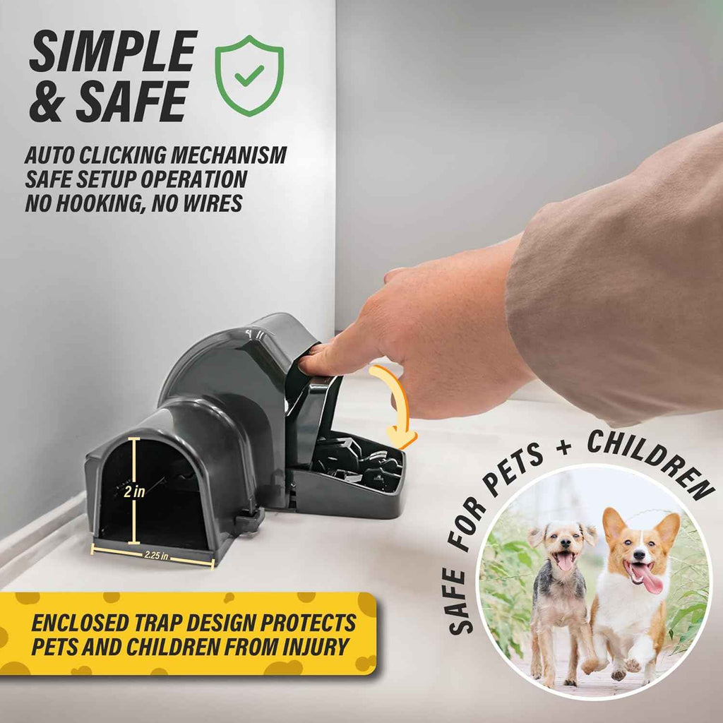 Rat and Chipmunk Traps, Dual Tunneled Design, Covered Snap Traps for Humane Rat Control, Reusable, 2 Pack