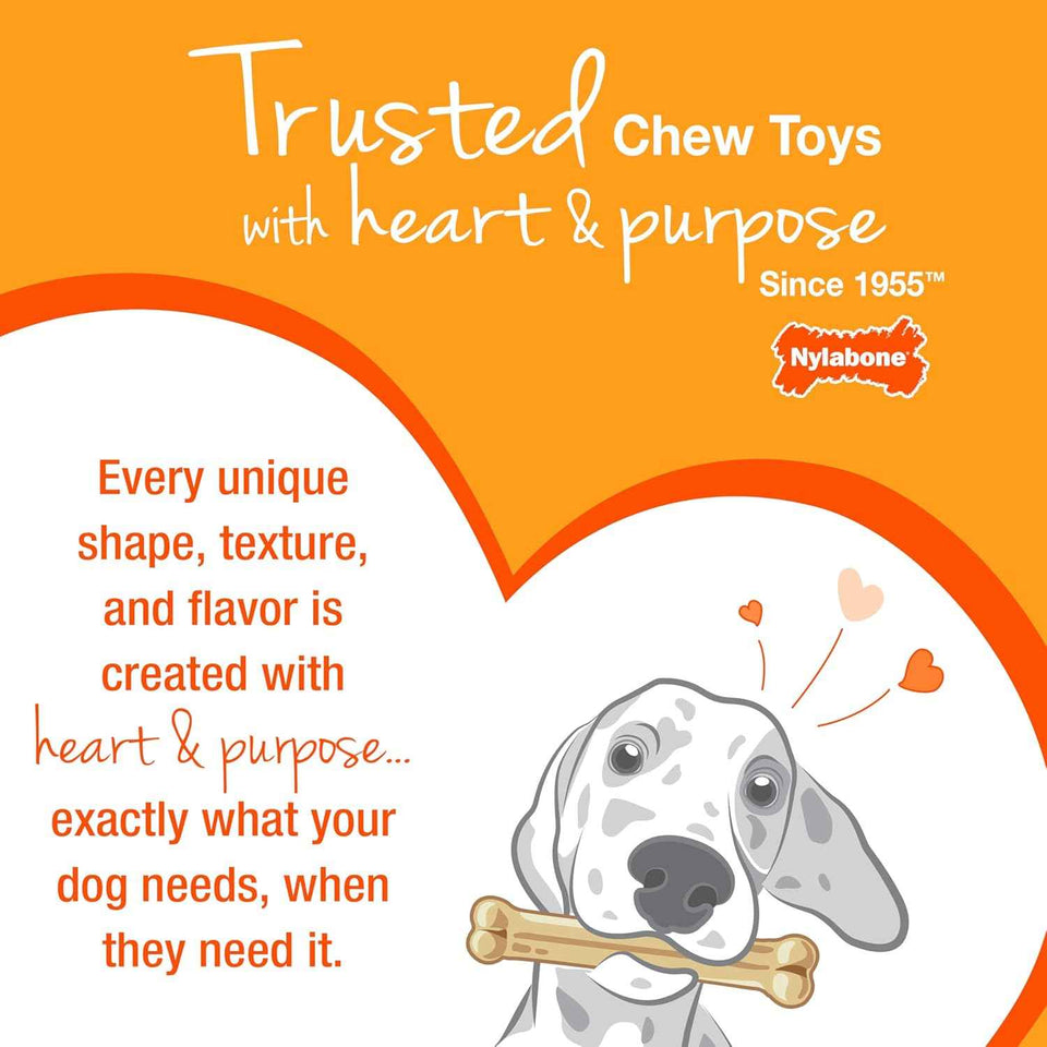 Nylabone Ring Bone Chew Toy for Puppies, Puppy Teething Toys, Puppy Enrichment Toys, Chicken Flavor, X-Small Dogs - Up to 15 lbs, 1 Count