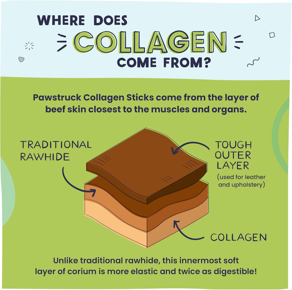 Pawstruck natural large 12 inch beef collagen sticks for dogs - long lasting rawhide alternative with high protein and chondroitin - 5 pack