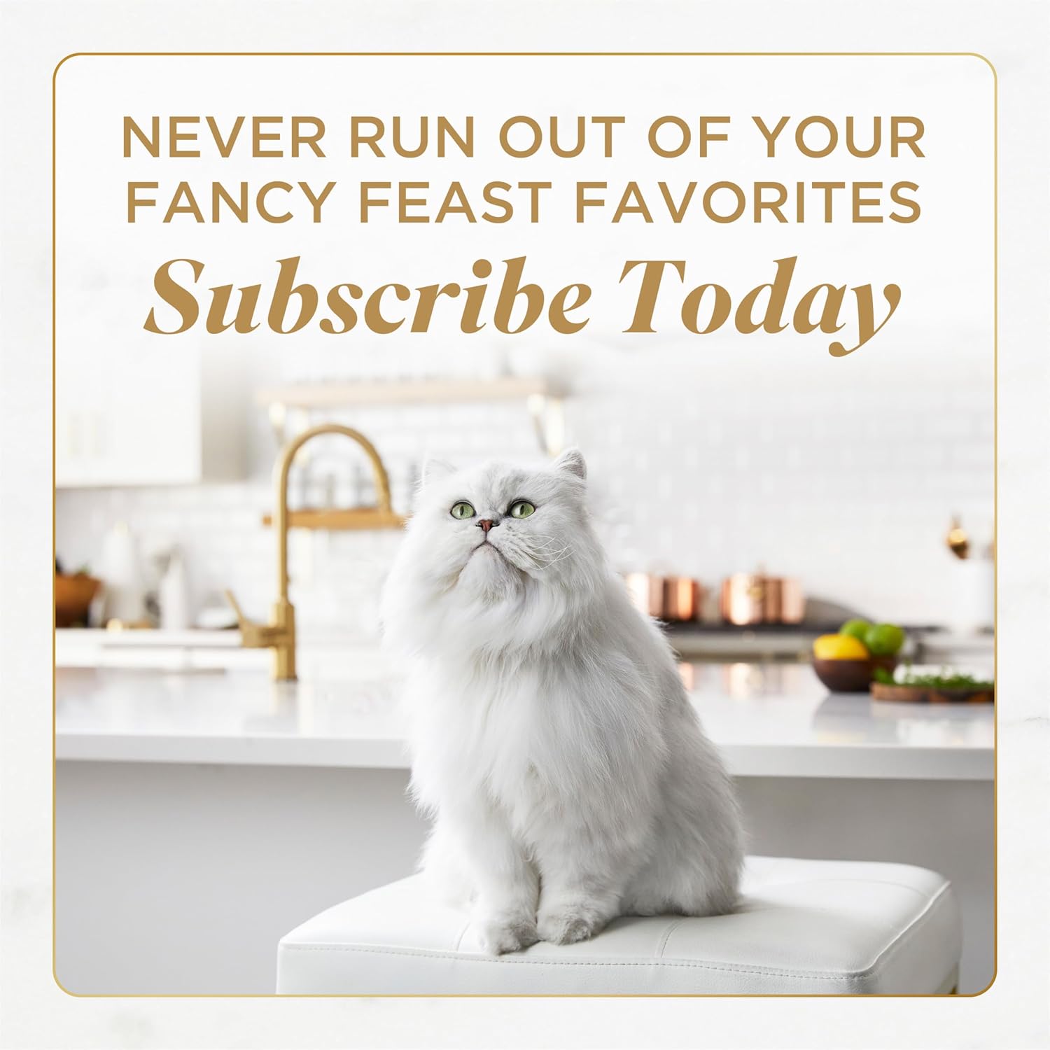 PLrina Fancy Feast Gourmet Wet Cat Food Variety Pack, Petites Gravy Collection, break-apart tubs, 48 servings - (Pack of 24) 2.8 oz. Tubs