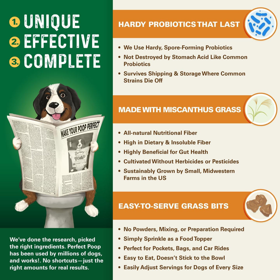 Perfect Poop Digestion & General Health Cheddar Cheese Supplement for Dogs: Fiber, Prebiotics, Probiotics & Enzymes Relieve Digestive Issues