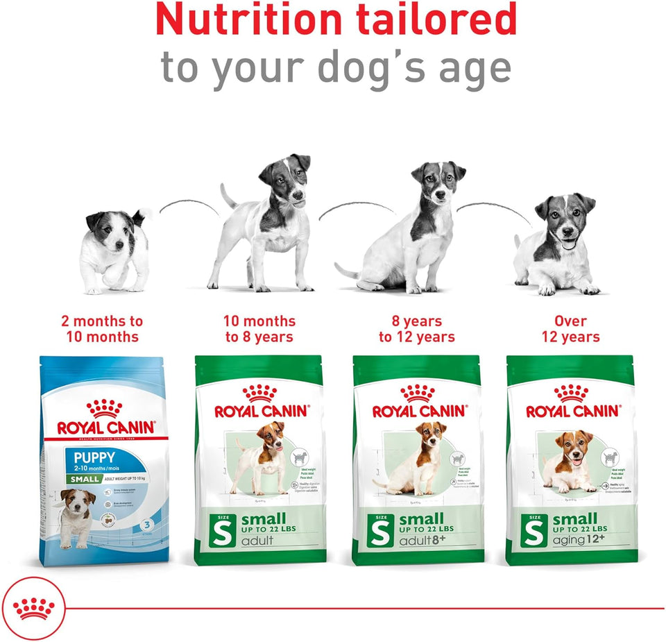 royal canin small adult dry dog food, 14 lb bag for small breed dogs aged 10 months to 8 years