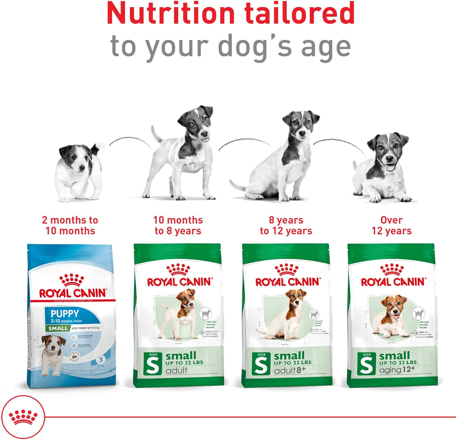 royal canin small adult dry dog food, 14 lb bag for small breed dogs aged 10 months to 8 years