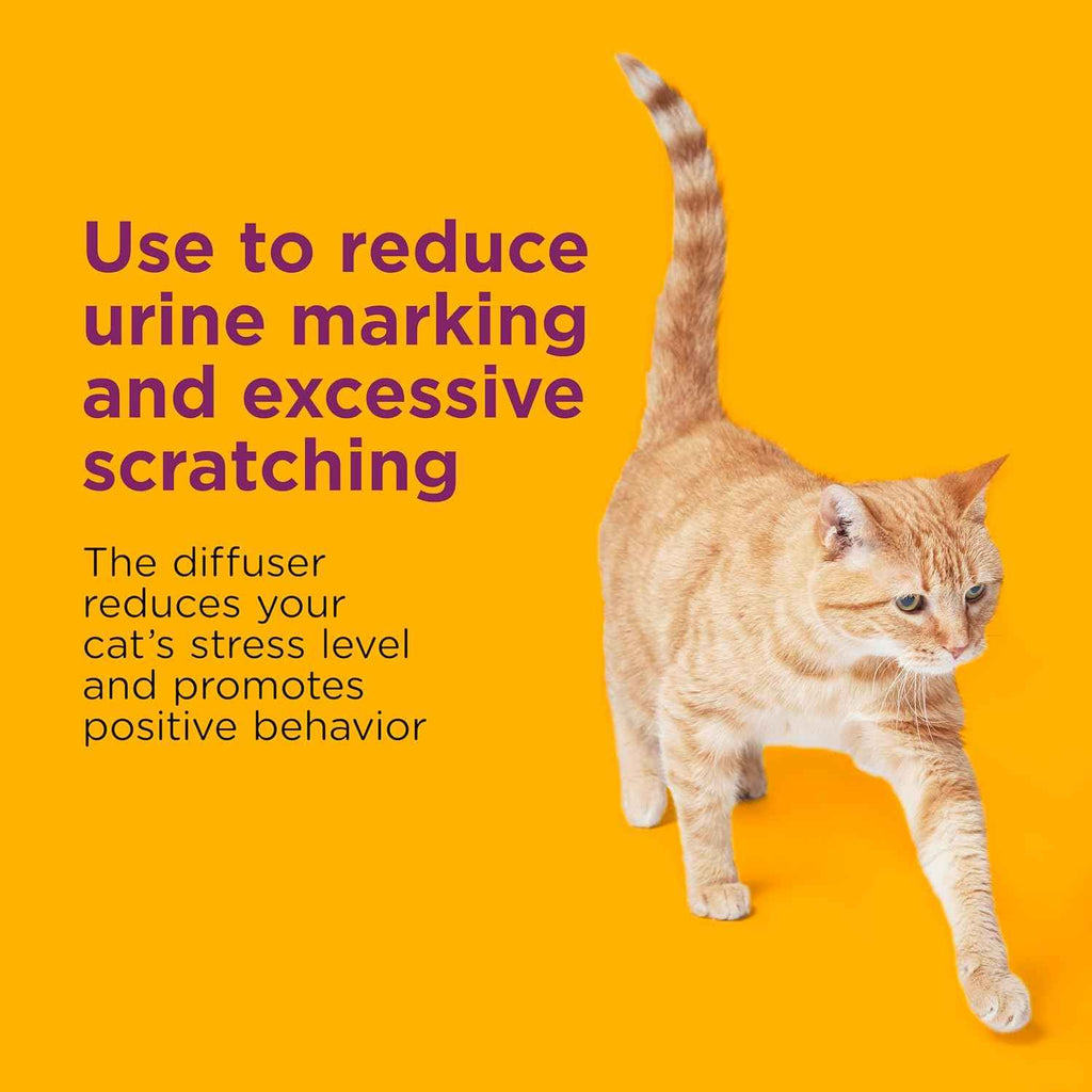 comfort zone multi-cat calming diffuser refill 6 pack fragrance-free 30-day refills for multi-cat anxiety stress