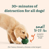 WOOF Starter Pack - Interactive Dog Toys for Boredom - Dog Treat Molds Silicone - Chicken-Flavored Healthy Treats for Dogs - Pupsicle Doggy Enrichment Toy - for Small Pups - 10-25 lbs