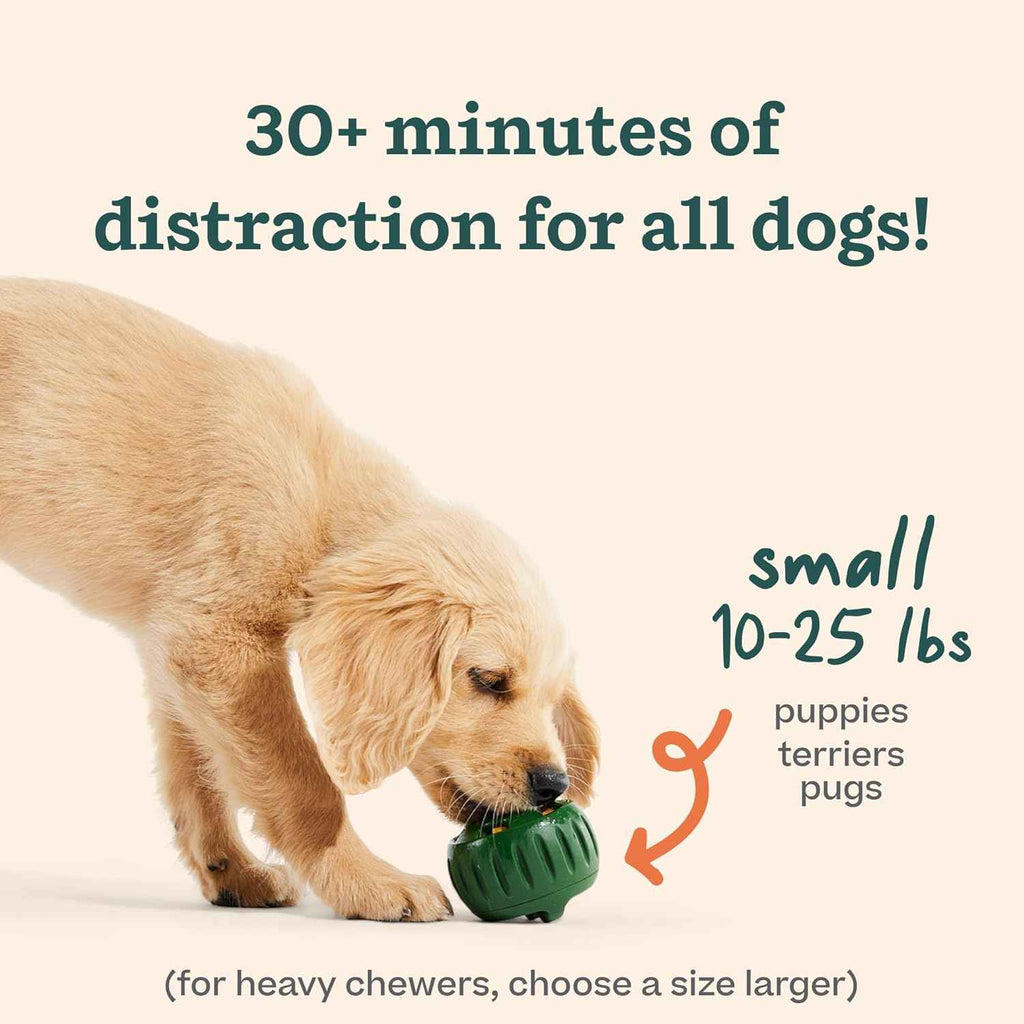 WOOF Starter Pack - Interactive Dog Toys for Small Pups 10-25 lbs - Chicken-Flavored Healthy Treats - Silicone Dog Treat Molds