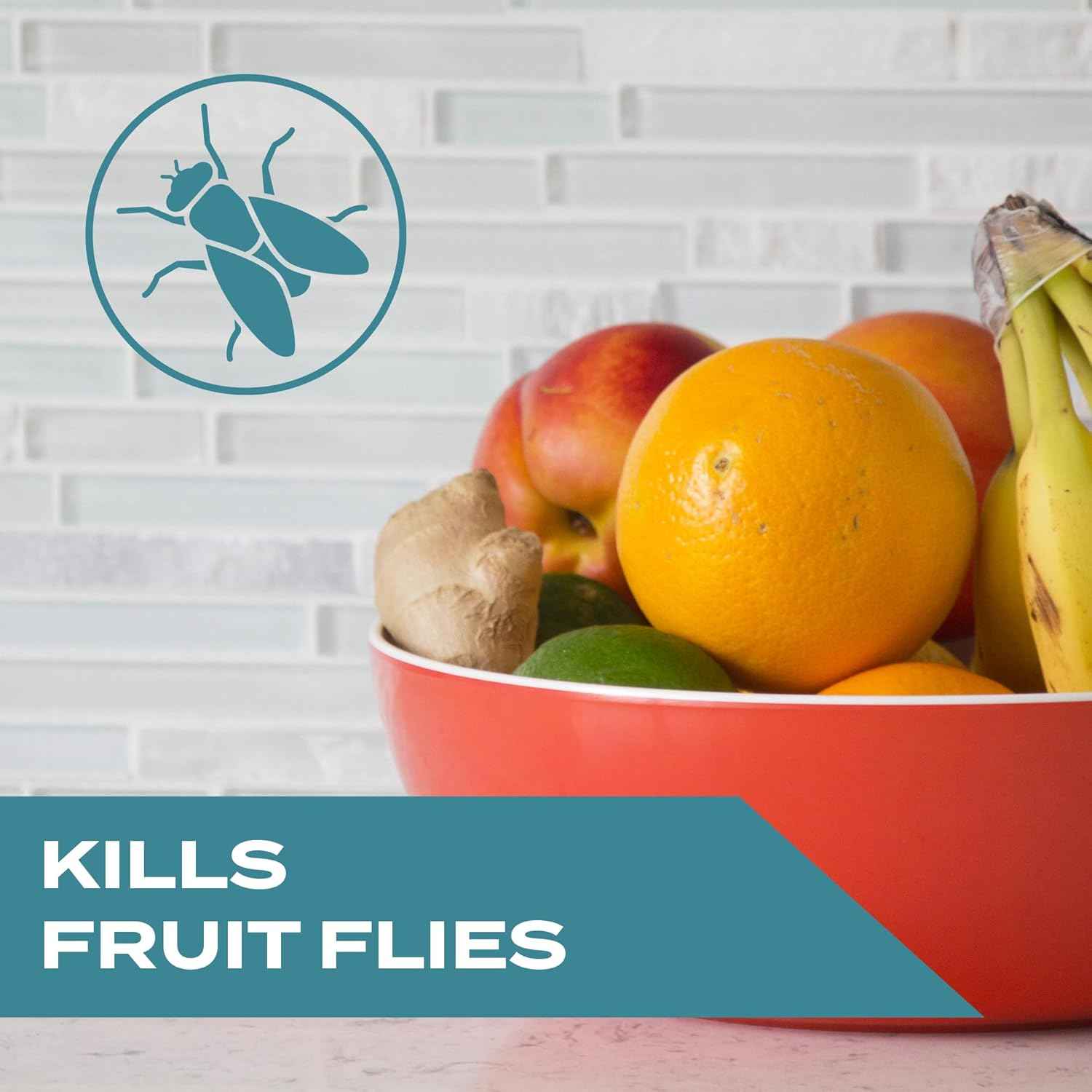 STEM Kills Fruit Fly Trap: Fruit Fly Catcher With Botanical Extracts; 5.4 fl oz (Pack Of 1)