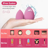 14PCS Makeup Sponge Set, Beauty Blender Sponge for Foundation Blending with 3PCS Mini Makeup Sponges & 4PCS Triangle Powder PLff, Soft Make Up Sponges for Face Cosmetic Applicator for Powder Liquid