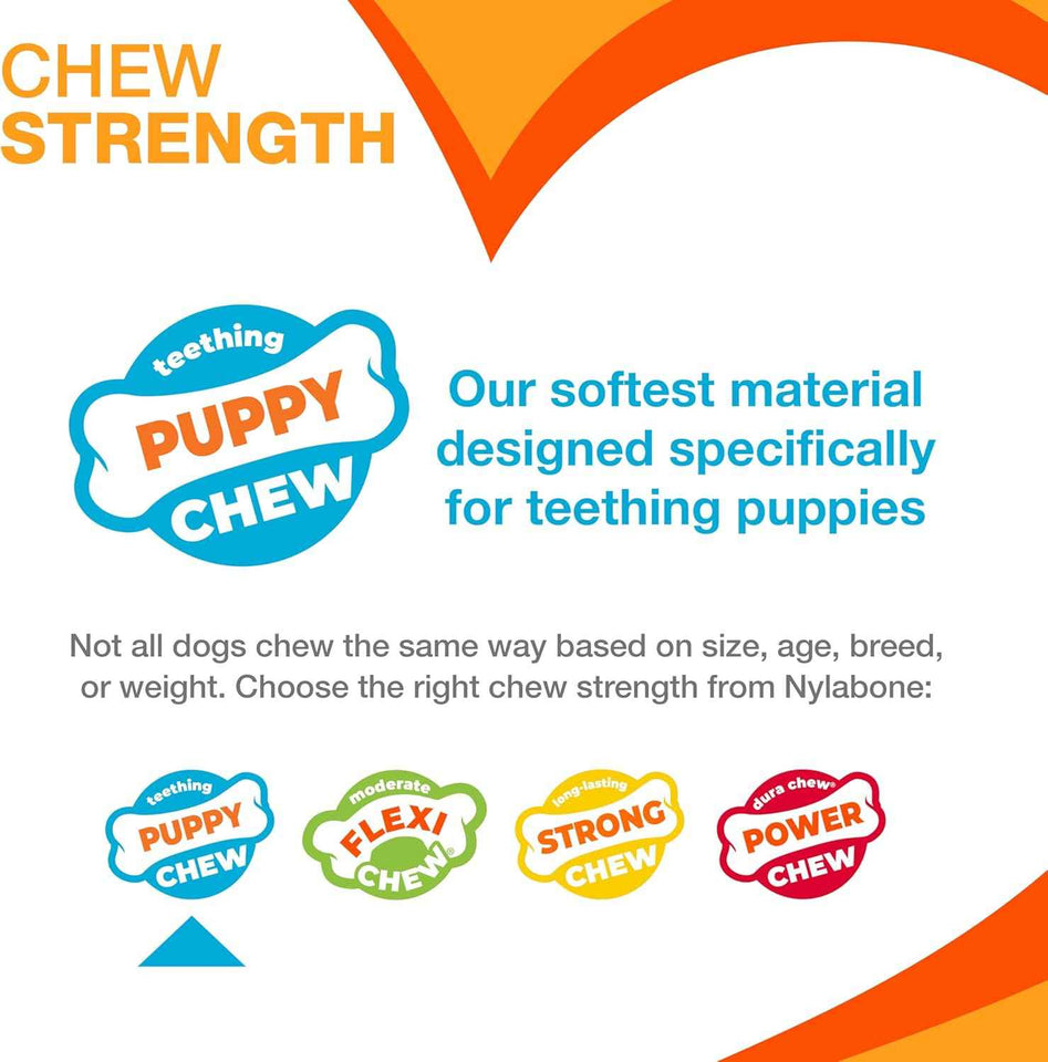 Nylabone Ring Bone Chicken Flavor Puppy Chew Toy for X-Small Dogs Up to 15 lbs