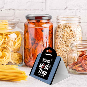 10 pack pantry moth traps with pheromones and glue for safe food and clothing protection