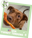 nature gnaws usa turkey tendons for small medium large breed dogs 4oz grain free reward snack