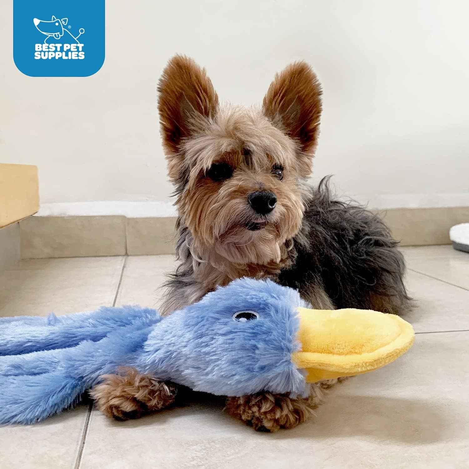 Best Pet Supplies Interactive Squeaky Dog Chew Toy, Ideal Dog Toys for Chewers, Small, Medium & Large Dogs, and Fetch Lovers - Crinkle Duck (Light Pink), Large