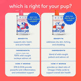 Native Pet Omega 3 Fish Oil for Dogs & Cats - Promotes Healthy Skin, Shiny Coat, & Strong Joints - Made with Wild Alaskan Salmon Oil for Dogs – Tasty, Fast-Absorbing Omega 3 6 9 Liquid Supplement- 8oz