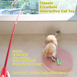 MeoHui Cat Toys for Indoor Cats, Interactive Cat Toy 2PCS Retractable Wand Toy and 9PCS Cat Feather Toys Refills, Funny Kitten Toys Cat Fishing Pole Toy for Bored Indoor Cats Chase and Exercise