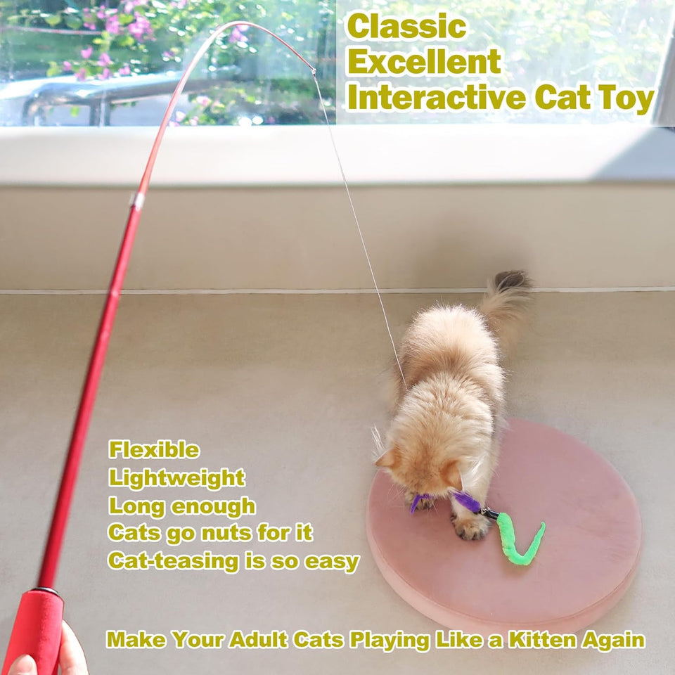 MeoHui Cat Toys for Indoor Cats, Interactive Cat Toy 2PCS Retractable Wand Toy and 9PCS Cat Feather Toys Refills, Funny Kitten Toys Cat Fishing Pole Toy for Bored Indoor Cats Chase and Exercise