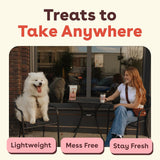 PLpford Freeze Dried Training Treats for Dogs & PLppies, 475+ Three Ingredient Bites (Beef Liver, 4 oz)
